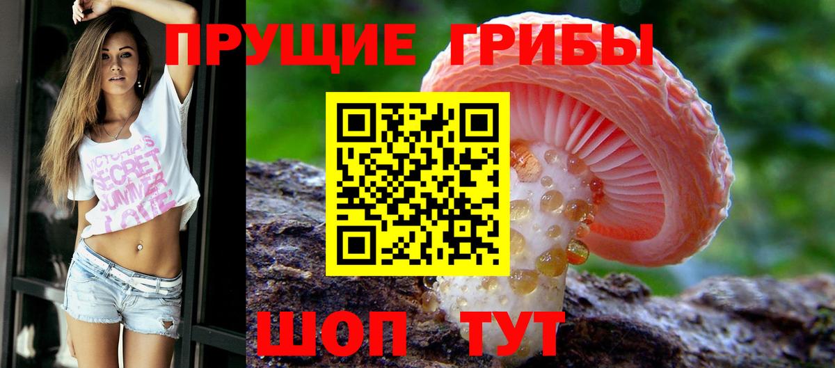 Краснознаменск  купить наркотик  Вход с VPN  Галлюциногенные грибы ЛСД  Галлюциногенные грибы прущие грибы 